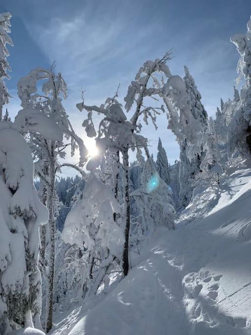 Stube9 Am Feldberg, Direkt An Der Skipiste, Ski In-Ski Out เฟลด์แบร์ก ภายนอก รูปภาพ