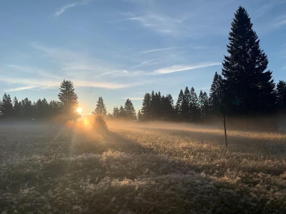 Stube9 Am Feldberg, Direkt An Der Skipiste, Ski In-Ski Out เฟลด์แบร์ก ภายนอก รูปภาพ