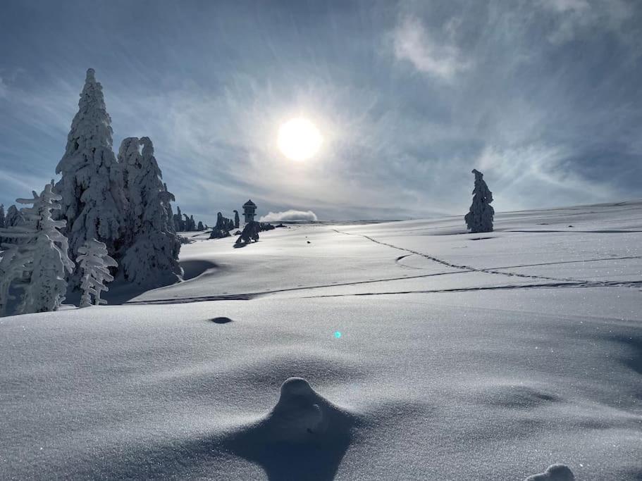 Stube9 Am Feldberg, Direkt An Der Skipiste, Ski In-Ski Out เฟลด์แบร์ก ภายนอก รูปภาพ