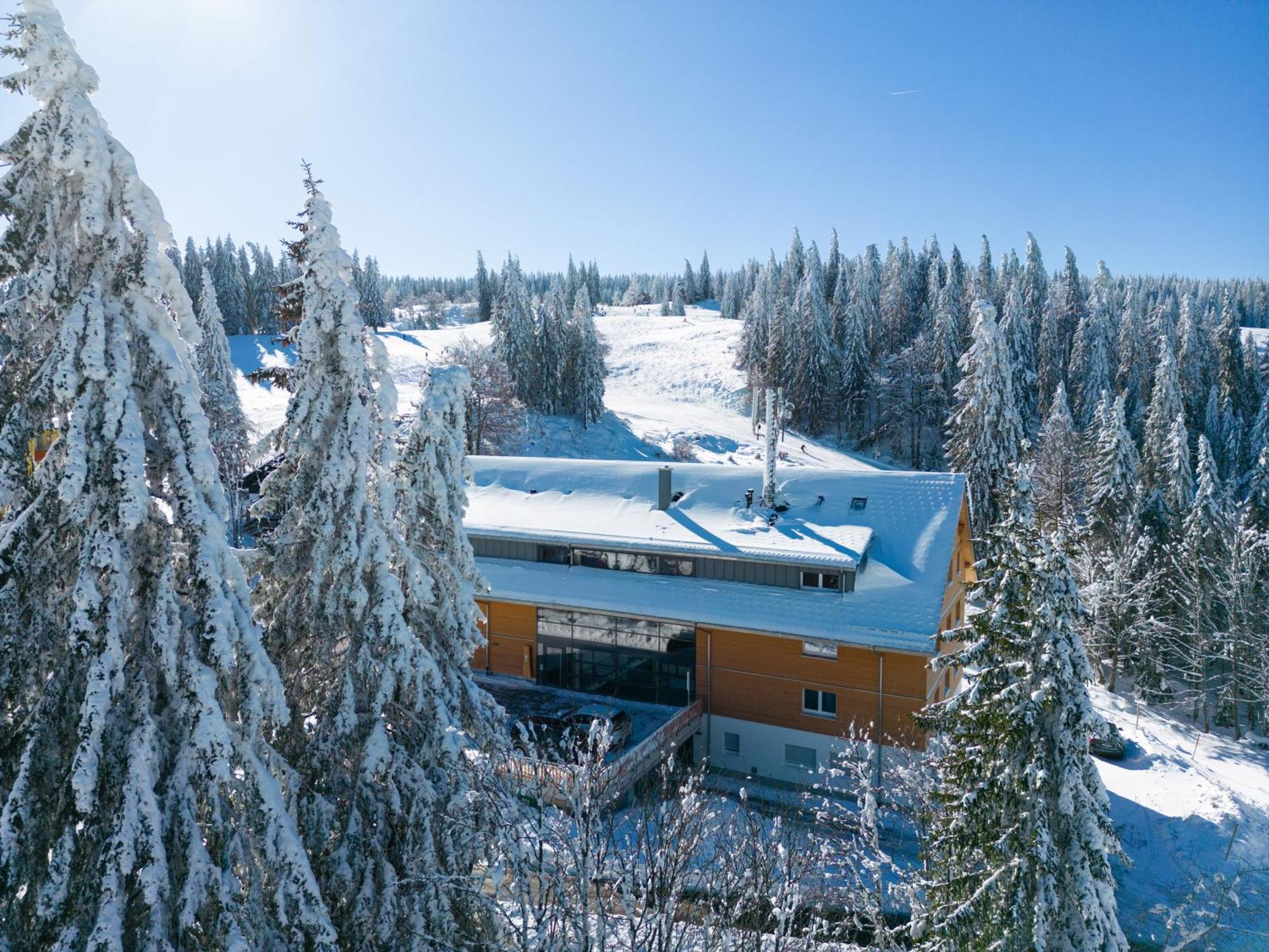 Stube9 Am Feldberg, Direkt An Der Skipiste, Ski In-Ski Out เฟลด์แบร์ก ภายนอก รูปภาพ